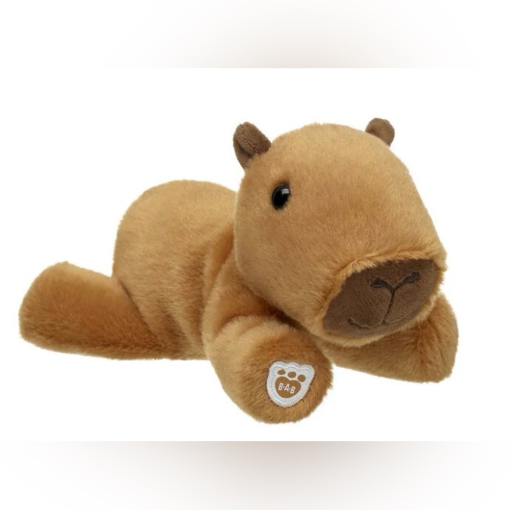 Build-A-Bear Capybara Set 🥰 - Picture 7 of 10